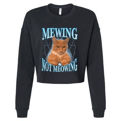 Funny Cat Meme Mewing Looksmax Meowing Cat Trend Cropped Pullover Crew