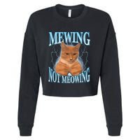 Funny Cat Meme Mewing Looksmax Meowing Cat Trend Cropped Pullover Crew
