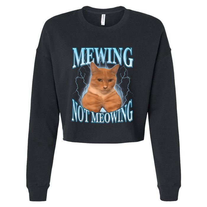 Funny Cat Meme Mewing Looksmax Meowing Cat Trend Cropped Pullover Crew