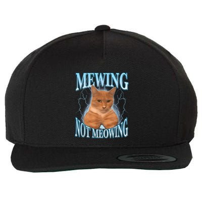 Funny Cat Meme Mewing Looksmax Meowing Cat Trend Wool Snapback Cap