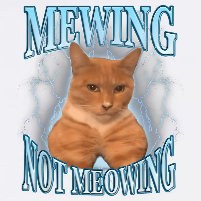 Funny Cat Meme Mewing Looksmax Meowing Cat Trend Garment-Dyed Sweatshirt