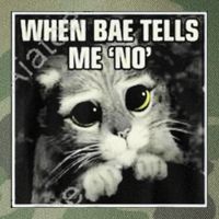 Funny Cat Meme When Bae Tells Me No Legacy Tie Dye Trucker Hat