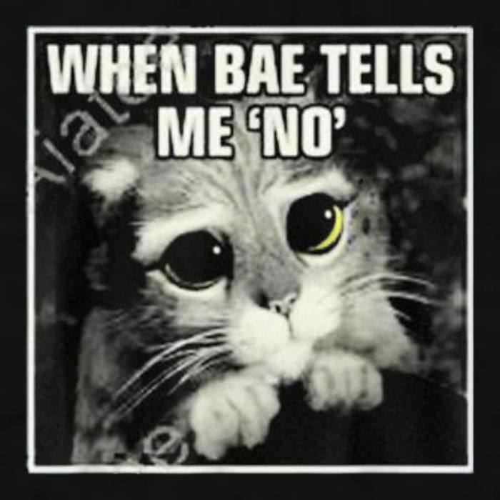 Funny Cat Meme When Bae Tells Me No Ladies PosiCharge Tri-Blend Wicking Tank