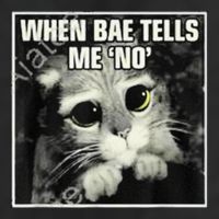 Funny Cat Meme When Bae Tells Me No 7 Panel Mesh Trucker Snapback Hat