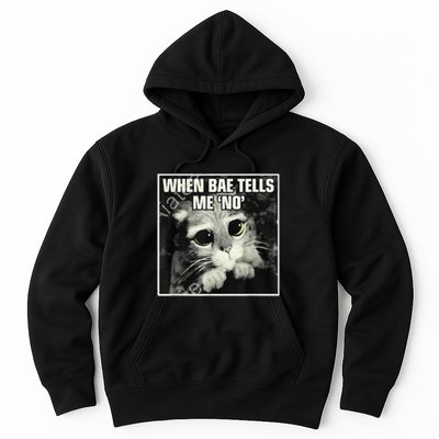 Funny Cat Meme When Bae Tells Me No Hoodie