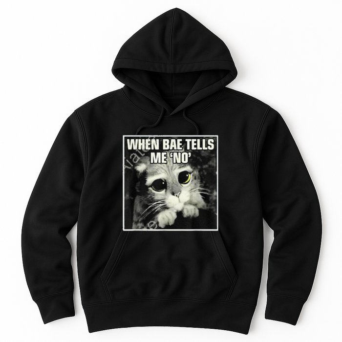 Funny Cat Meme When Bae Tells Me No Hoodie