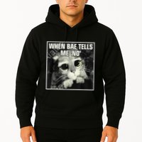 Funny Cat Meme When Bae Tells Me No Hoodie