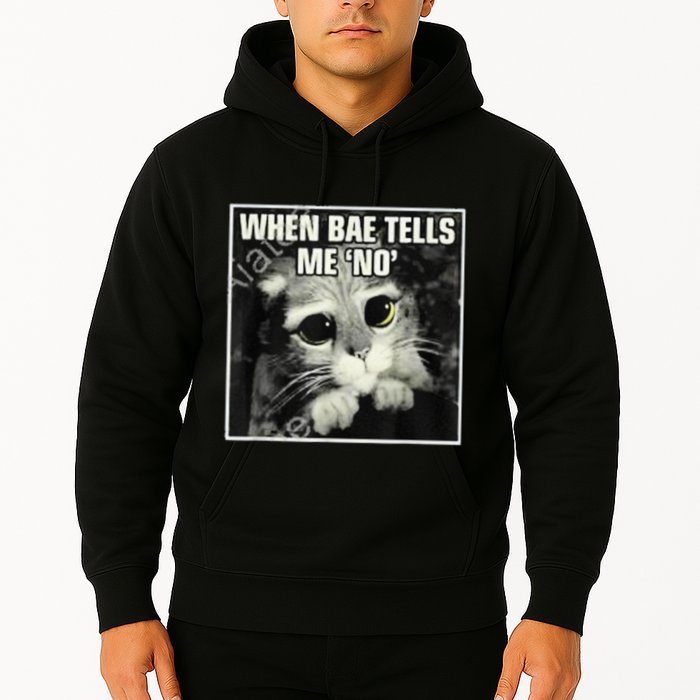 Funny Cat Meme When Bae Tells Me No Hoodie