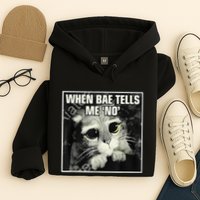 Funny Cat Meme When Bae Tells Me No Hoodie