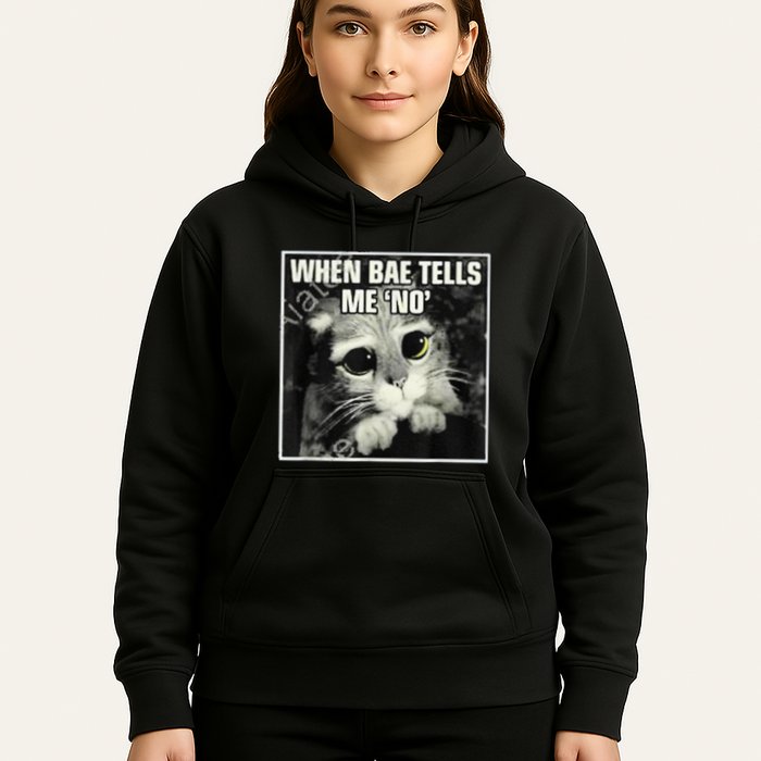 Funny Cat Meme When Bae Tells Me No Hoodie