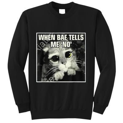 Funny Cat Meme When Bae Tells Me No Sweatshirt