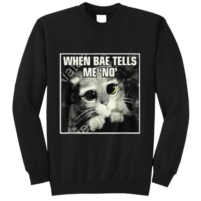 Funny Cat Meme When Bae Tells Me No Sweatshirt