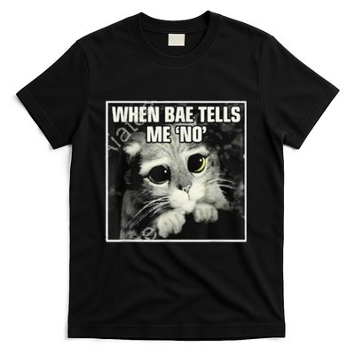 Funny Cat Meme When Bae Tells Me No T-Shirt