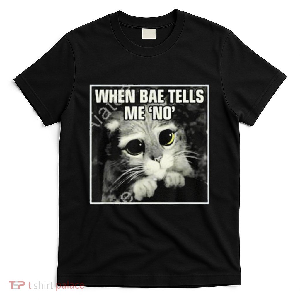 Funny Cat Meme When Bae Tells Me No T-Shirt