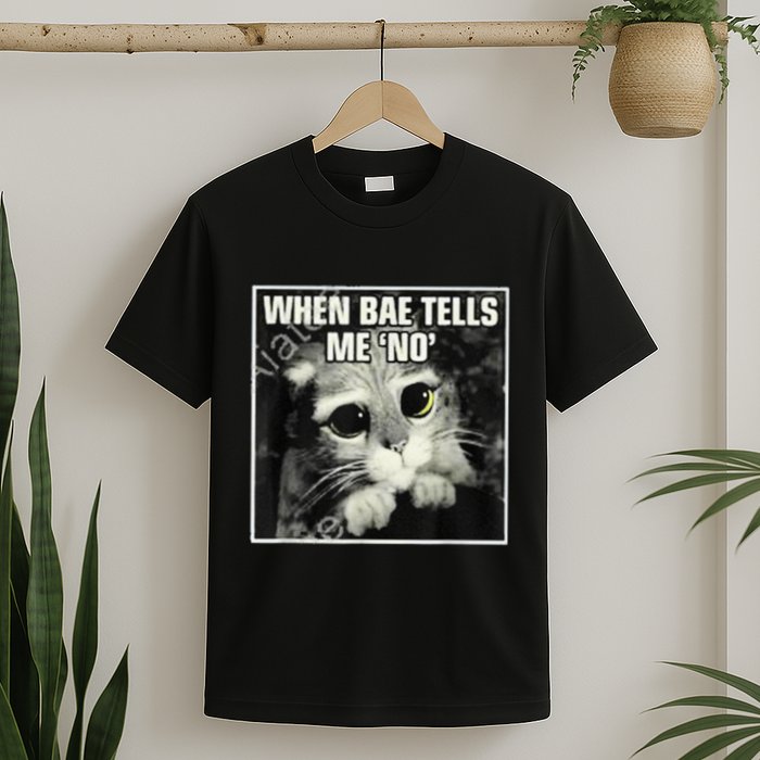 Funny Cat Meme When Bae Tells Me No T-Shirt