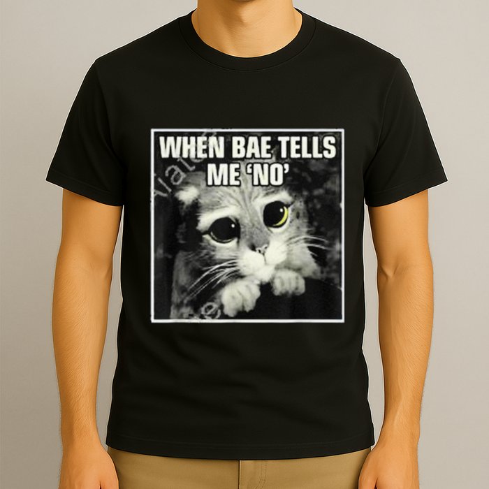 Funny Cat Meme When Bae Tells Me No T-Shirt
