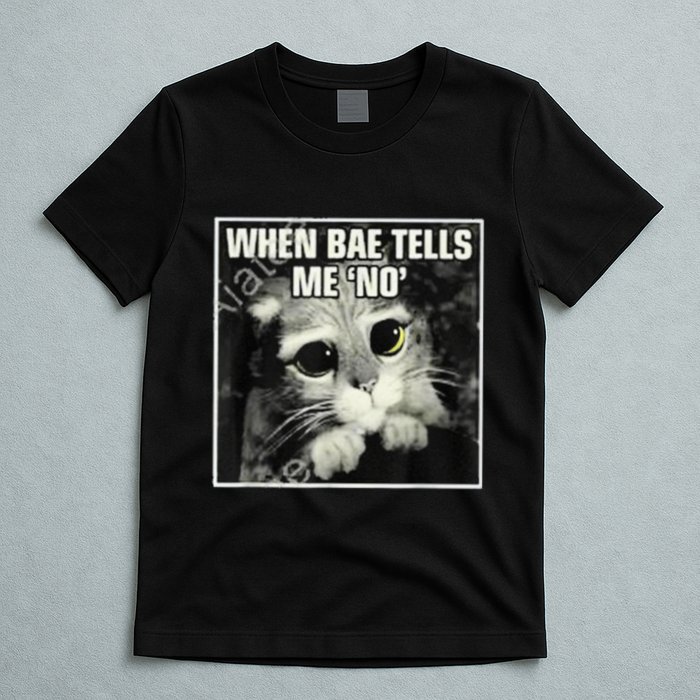 Funny Cat Meme When Bae Tells Me No T-Shirt