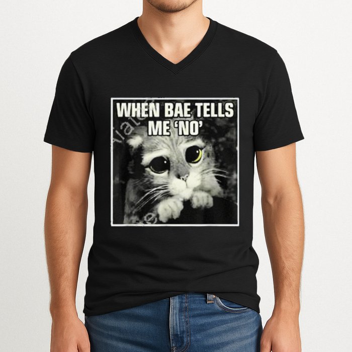 Funny Cat Meme When Bae Tells Me No V-Neck T-Shirt