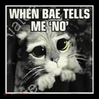 Funny Cat Meme When Bae Tells Me No Sustainable Bucket Hat