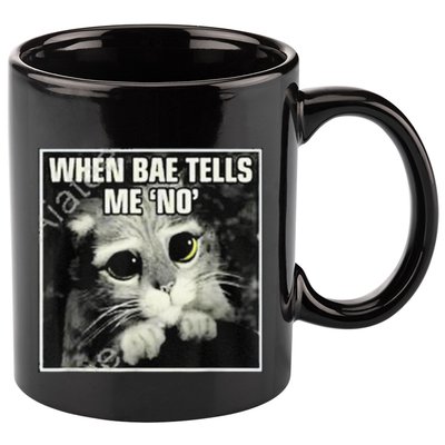 Funny Cat Meme When Bae Tells Me No 11oz C Handle Ceramic Mug