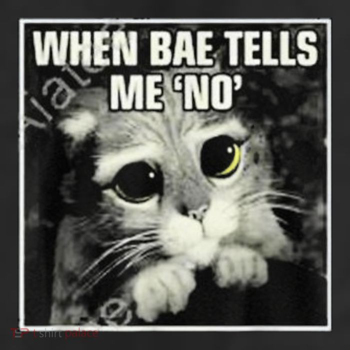 Funny Cat Meme When Bae Tells Me No 11oz C Handle Ceramic Mug