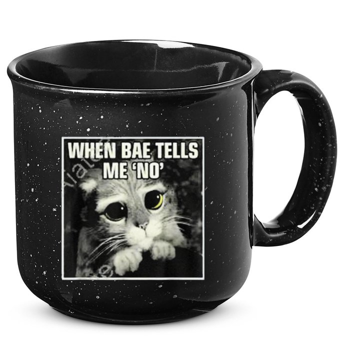 Funny Cat Meme When Bae Tells Me No 15oz Campfire Ceramic Mug