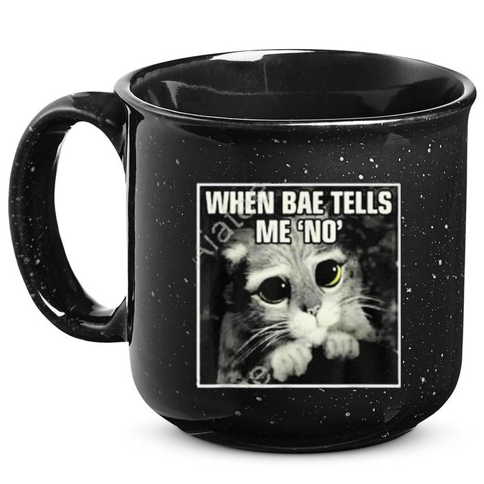 Funny Cat Meme When Bae Tells Me No 15oz Campfire Ceramic Mug