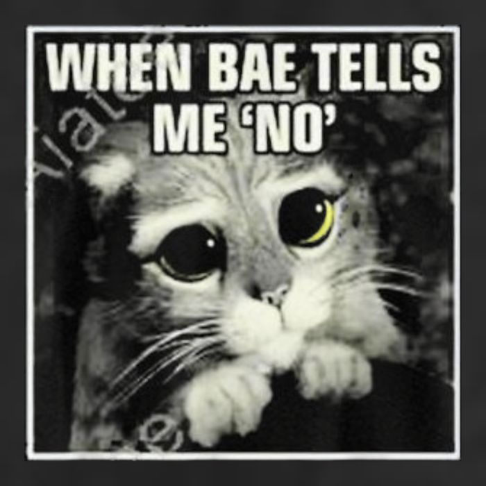 Funny Cat Meme When Bae Tells Me No Beanie