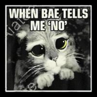 Funny Cat Meme When Bae Tells Me No 16 in Basic Backpack