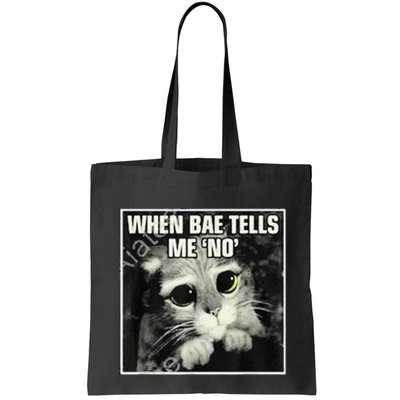 Funny Cat Meme When Bae Tells Me No Bag