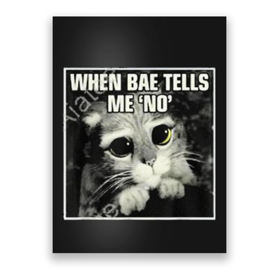 Funny Cat Meme When Bae Tells Me No Poster