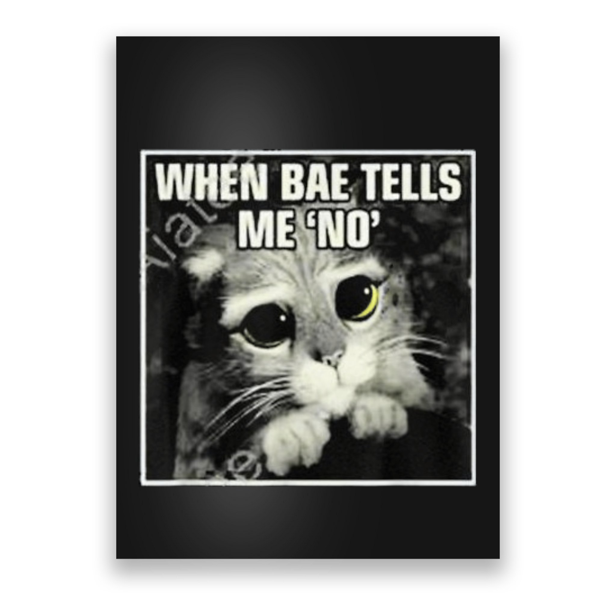 Funny Cat Meme When Bae Tells Me No Poster