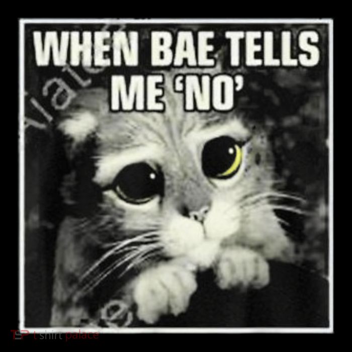 Funny Cat Meme When Bae Tells Me No Toddler Hoodie