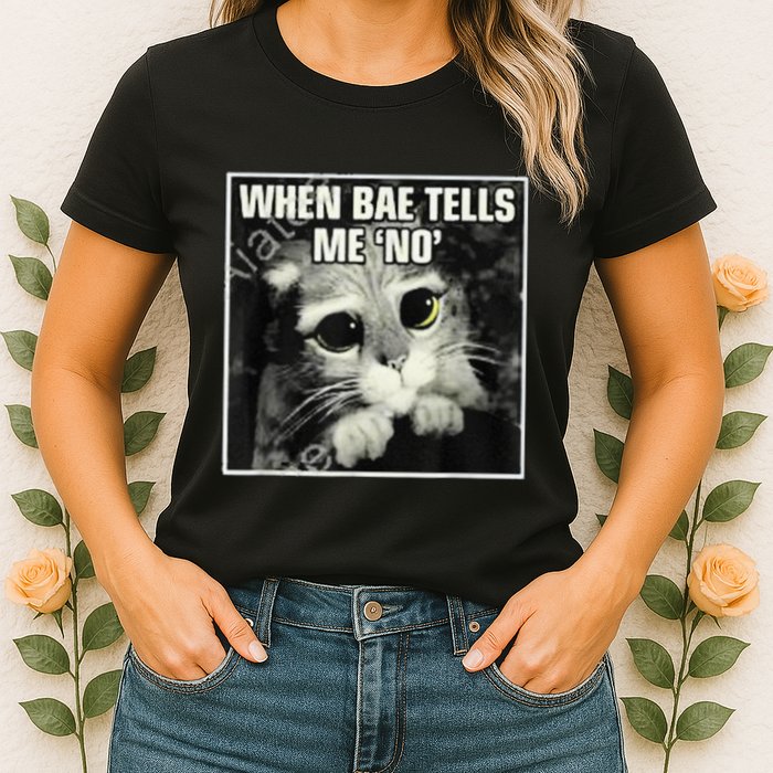 Funny Cat Meme When Bae Tells Me No Womens T-Shirt