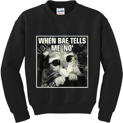 Funny Cat Meme When Bae Tells Me No Kids Sweatshirt