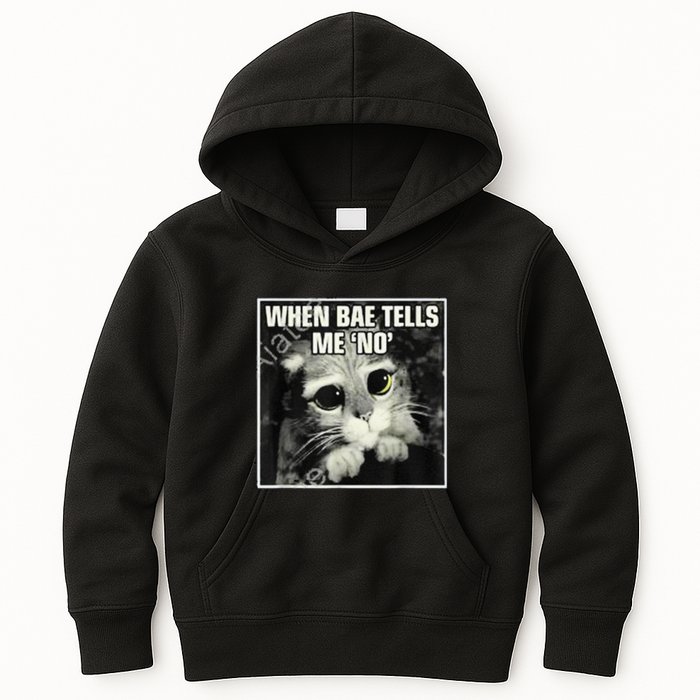 Funny Cat Meme When Bae Tells Me No Kids Hoodie