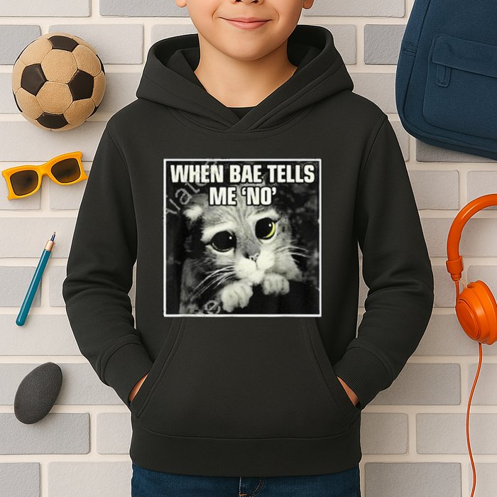 Funny Cat Meme When Bae Tells Me No Kids Hoodie