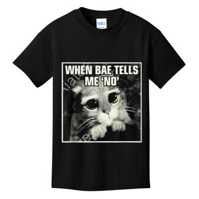 Funny Cat Meme When Bae Tells Me No Kids T-Shirt