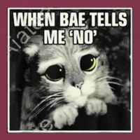 Funny Cat Meme When Bae Tells Me No 16oz Travel Tumbler