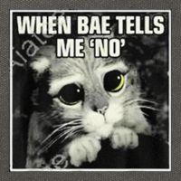 Funny Cat Meme When Bae Tells Me No Cotton Canvas Backpack