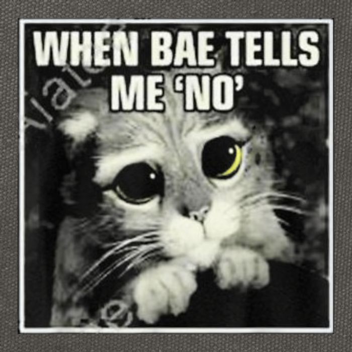 Funny Cat Meme When Bae Tells Me No Cotton Canvas Backpack