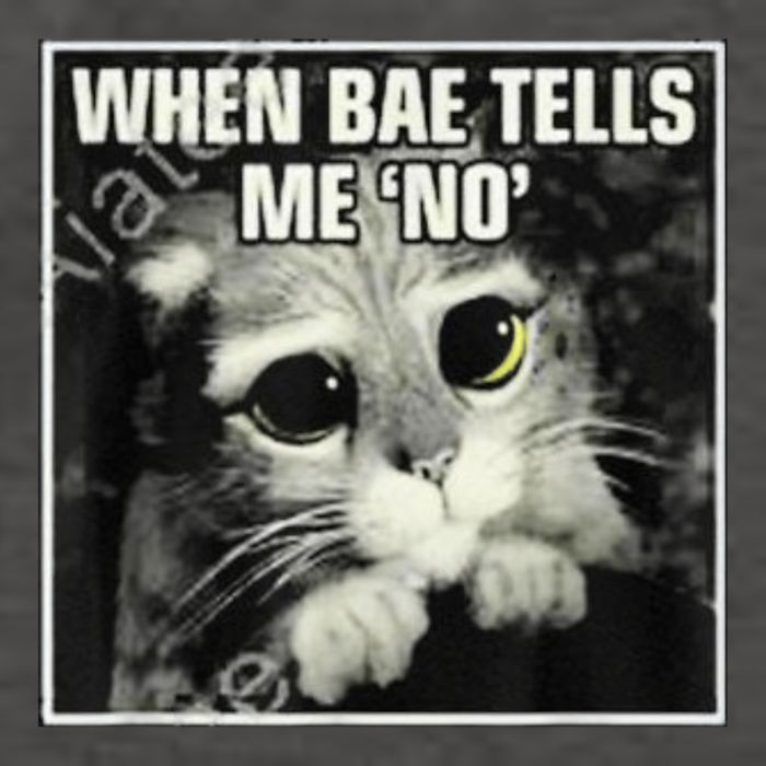 Funny Cat Meme When Bae Tells Me No Vector Backpack