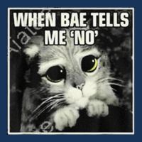 Funny Cat Meme When Bae Tells Me No Infant Baby Jersey Bodysuit