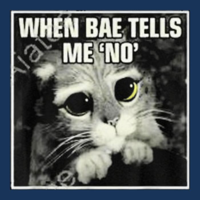 Funny Cat Meme When Bae Tells Me No Infant Baby Jersey Bodysuit