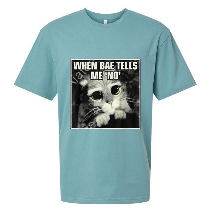 Funny Cat Meme When Bae Tells Me No Sueded Cloud Jersey T-Shirt