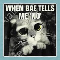 Funny Cat Meme When Bae Tells Me No Sueded Cloud Jersey T-Shirt