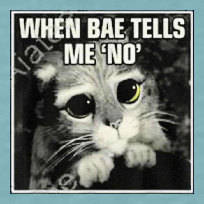 Funny Cat Meme When Bae Tells Me No Sueded Cloud Jersey T-Shirt