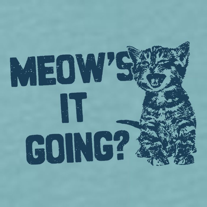 Funny Cat MeowS It Going Cute Cat Pun Sueded Cloud Jersey T-Shirt
