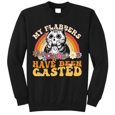 Funny Cat Meme My Flabbers Have Been Gasted Sweatshirt