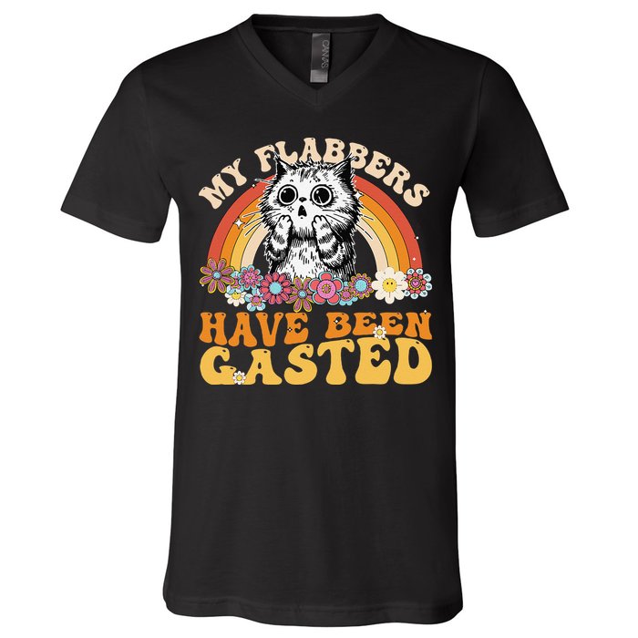 Funny Cat Meme My Flabbers Have Been Gasted V-Neck T-Shirt